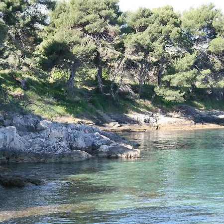 Osljak Apartman Preko